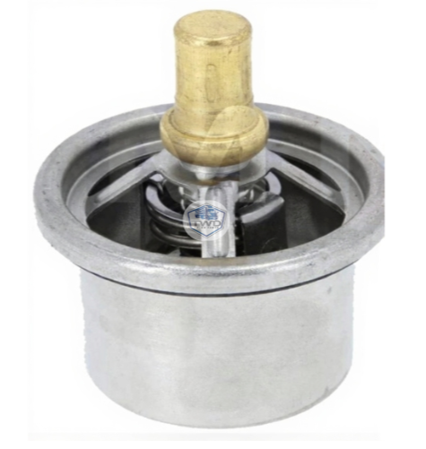TWD Spare Parts - replaces 1661375 Thermostat 87'C Without Ring DAF